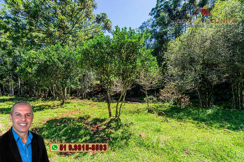 Sítio de 4.9 hectares à VENDA Gramado - RS: 5ª foto da galeria de imagens do imóvel