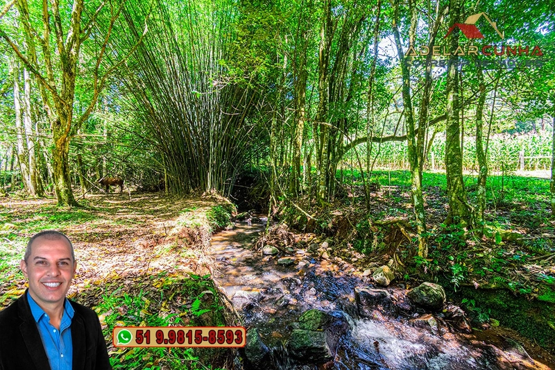 Sítio de 4.9 hectares à VENDA Gramado - RS: 34ª foto da galeria de imagens do imóvel