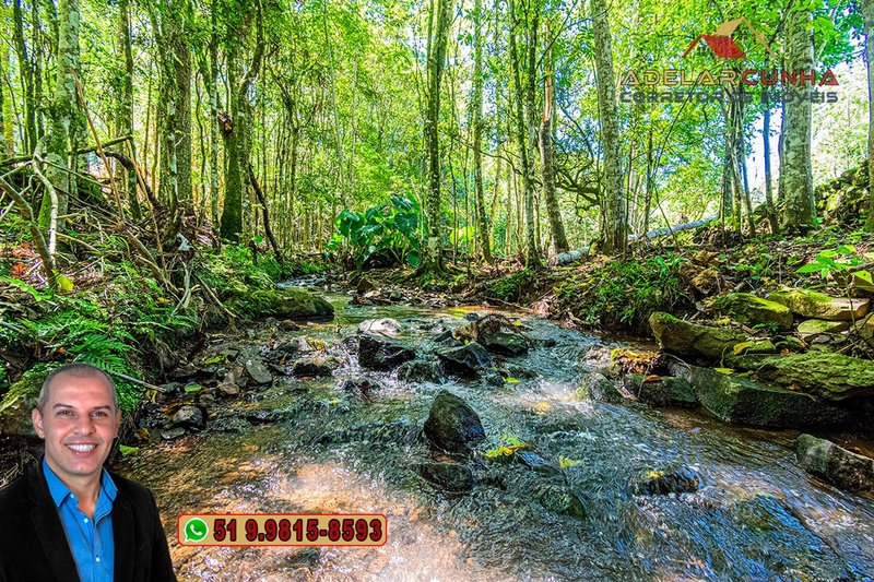 Sítio de 4.9 hectares à VENDA Gramado - RS: 12ª foto da galeria de imagens do imóvel