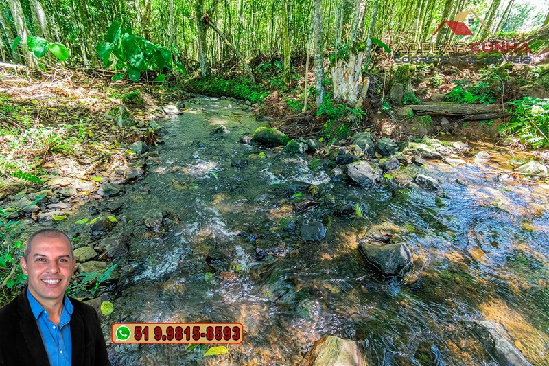 Sítio de 4.9 hectares à VENDA Gramado - RS: 8ª foto da galeria de imagens do imóvel