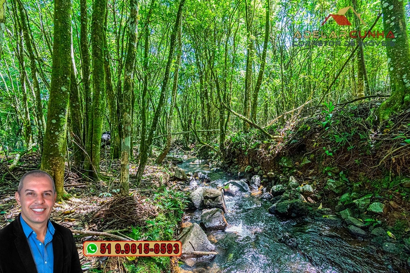Sítio de 4.9 hectares à VENDA Gramado - RS: 33ª foto da galeria de imagens do imóvel