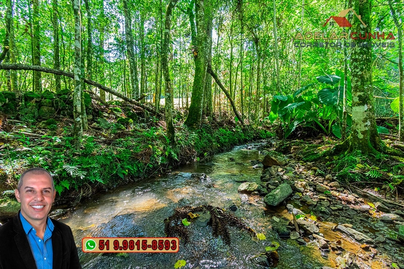 Sítio de 4.9 hectares à VENDA Gramado - RS: 11ª foto da galeria de imagens do imóvel