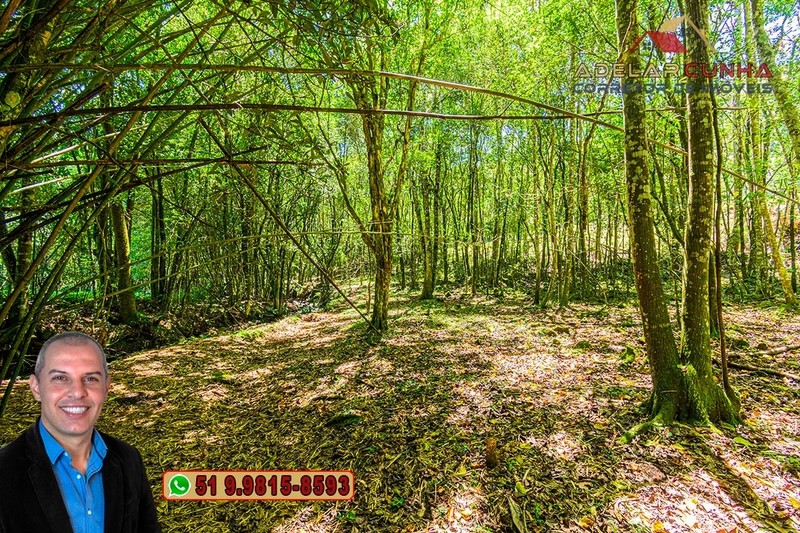 Sítio de 4.9 hectares à VENDA Gramado - RS: 36ª foto da galeria de imagens do imóvel