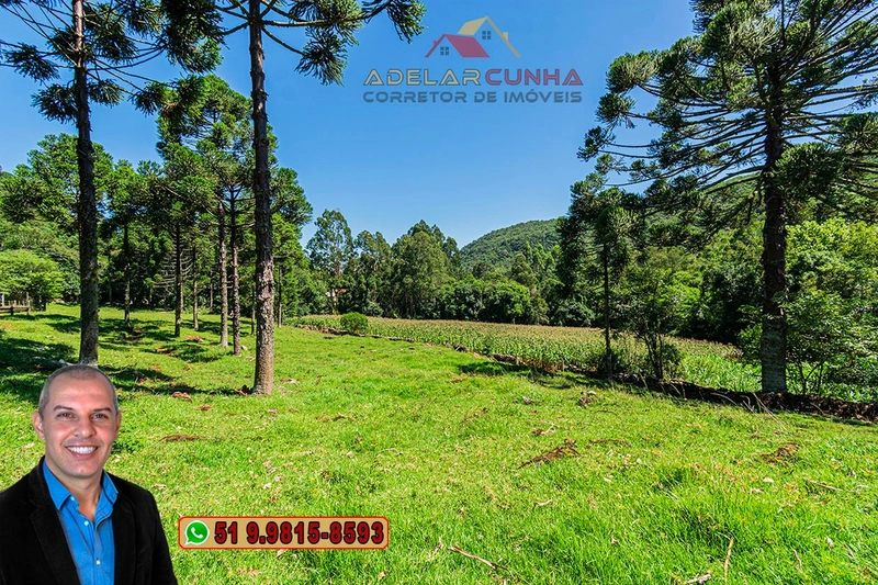 Sítio de 4.9 hectares à VENDA Gramado - RS: 3ª foto da galeria de imagens do imóvel