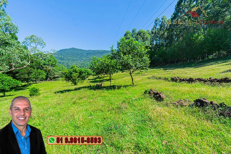 Sítio de 3.2 hectares à VENDA em Igrejinha - RS: 11ª foto da galeria de imagens do imóvel