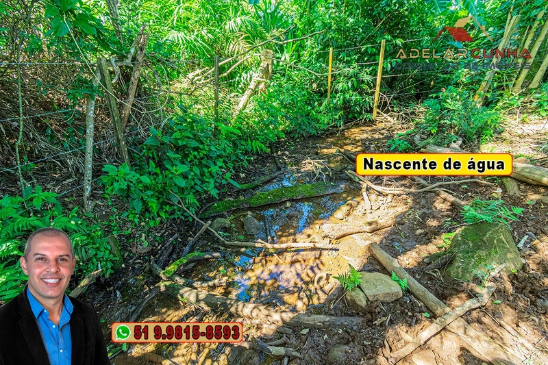 Sítio de 3.2 hectares à VENDA em Igrejinha - RS: 8ª foto da galeria de imagens do imóvel
