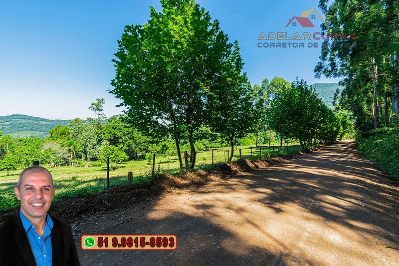 Sítio de 3.2 hectares à VENDA em Igrejinha - RS: 44ª foto da galeria de imagens do imóvel