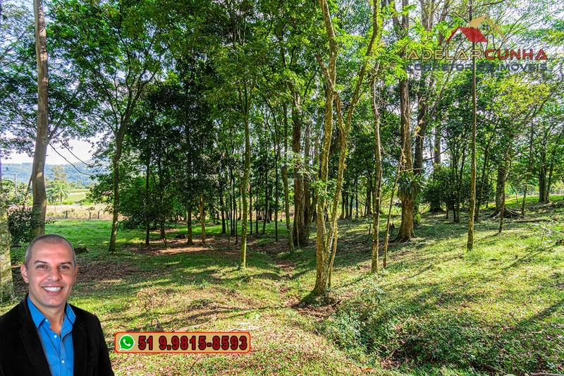Chácara de 2.3 hectares à VENDA em Três Coroas - RS: 2ª foto da galeria de imagens do imóvel