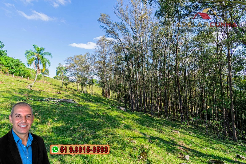 Chácara de 2.3 hectares à VENDA em Três Coroas - RS: 15ª foto da galeria de imagens do imóvel
