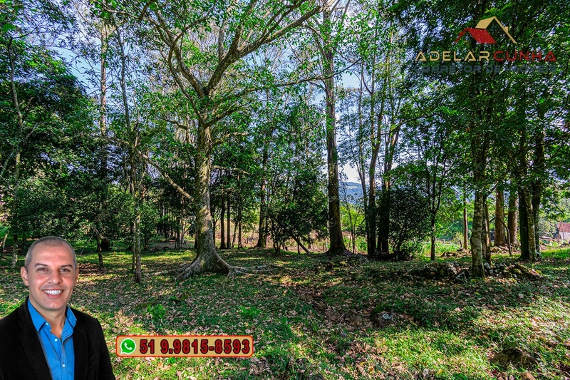 Chácara de 2.3 hectares à VENDA em Três Coroas - RS: 22ª foto da galeria de imagens do imóvel