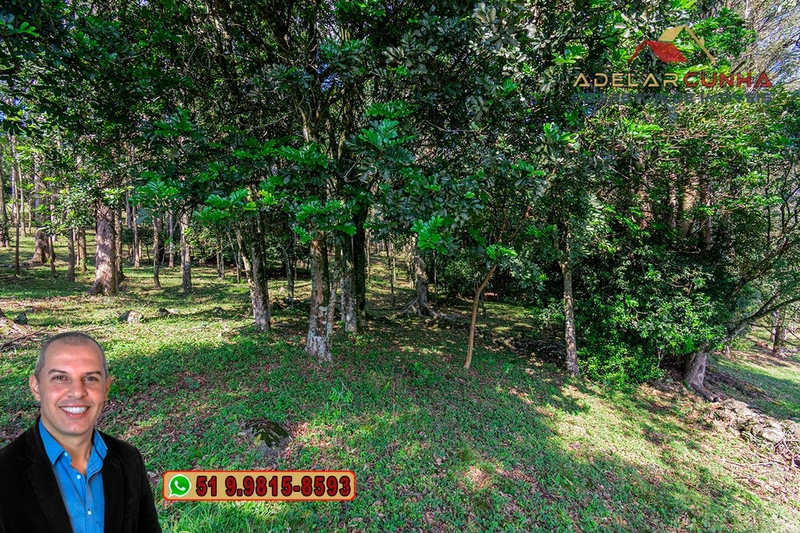 Chácara de 2.3 hectares à VENDA em Três Coroas - RS: 20ª foto da galeria de imagens do imóvel