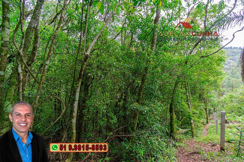 Sítio de 5 Hectares à Venda em São Francisco de Paula – RS: 12ª foto da galeria de imagens do imóvel