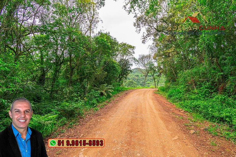 Sítio de 5 Hectares à Venda em São Francisco de Paula – RS: 1ª foto da galeria de imagens do imóvel