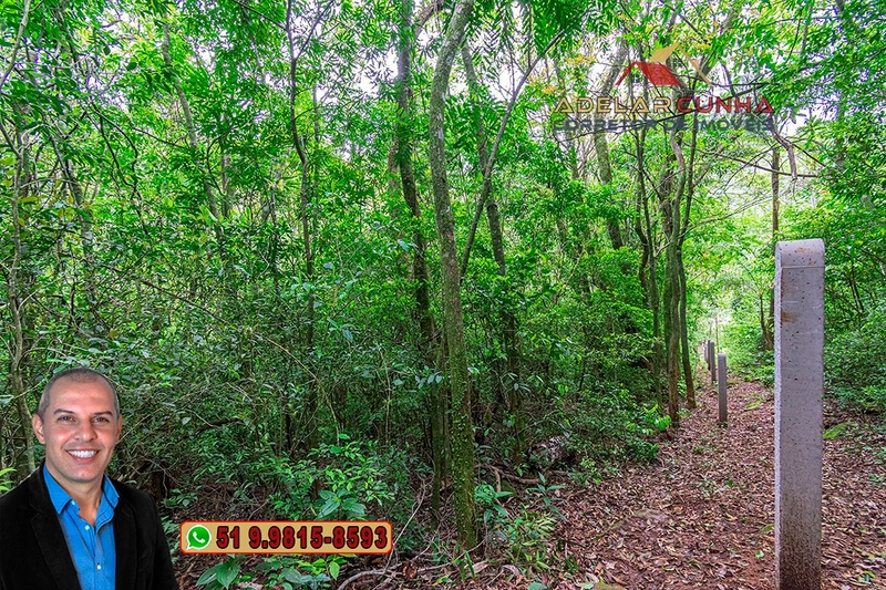 Sítio de 5 Hectares à Venda em São Francisco de Paula – RS: 14ª foto da galeria de imagens do imóvel