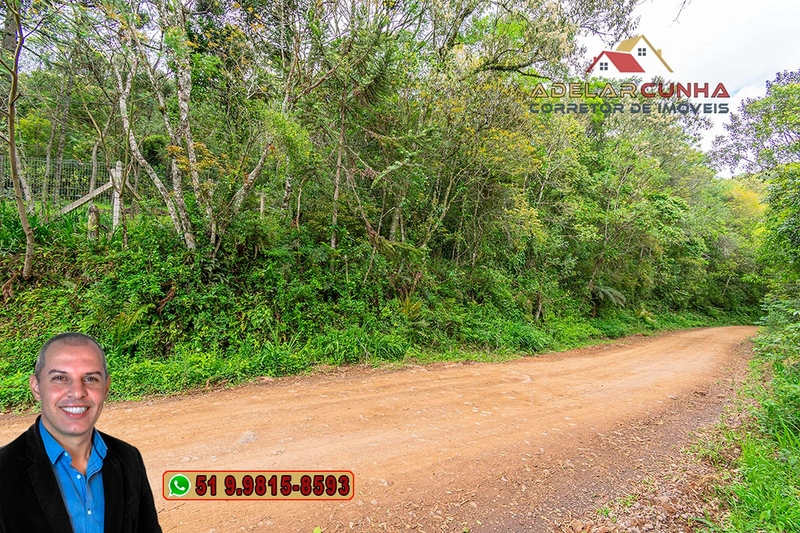 Sítio de 5 Hectares à Venda em São Francisco de Paula – RS: 11ª foto da galeria de imagens do imóvel