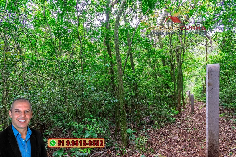 Sítio de 5 Hectares à Venda em São Francisco de Paula – RS: 13ª foto da galeria de imagens do imóvel