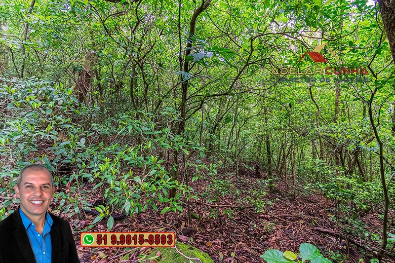 Sítio de 5 Hectares à Venda em São Francisco de Paula – RS: 13ª foto da galeria de imagens do imóvel