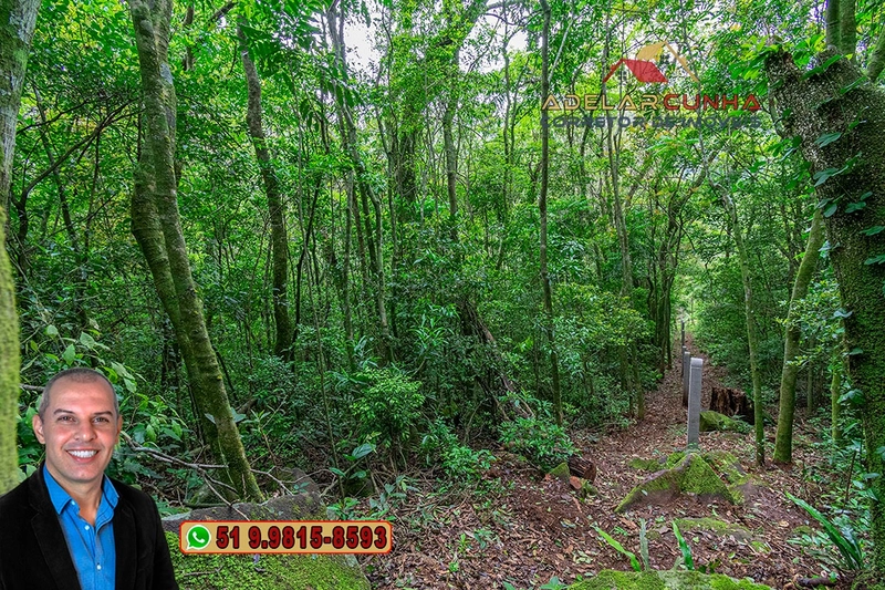 Sítio de 5 Hectares à Venda em São Francisco de Paula – RS: 15ª foto da galeria de imagens do imóvel