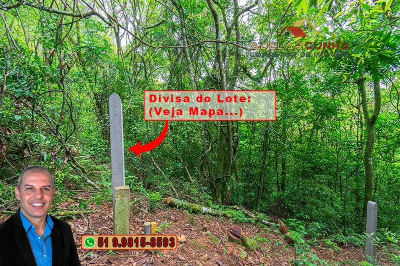 Sítio de 5 Hectares à Venda em São Francisco de Paula – RS: 17ª foto da galeria de imagens do imóvel