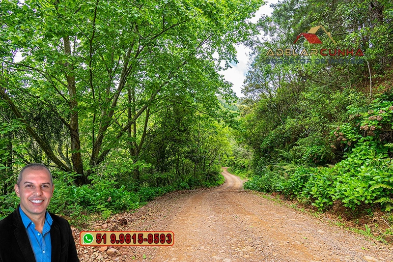Sítio de 5 Hectares à Venda em São Francisco de Paula – RS: 6ª foto da galeria de imagens do imóvel