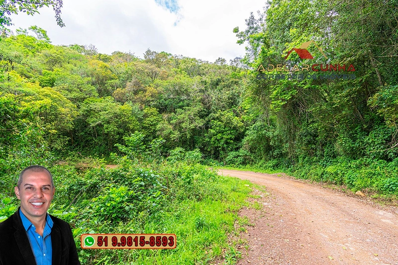 Sítio de 5 Hectares à Venda em São Francisco de Paula – RS: 4ª foto da galeria de imagens do imóvel