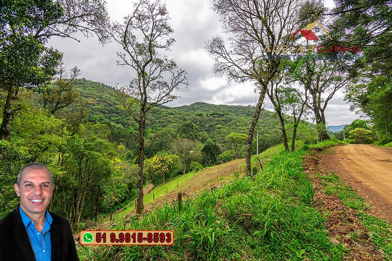 Sítio de 5 Hectares à Venda em São Francisco de Paula – RS: 10ª foto da galeria de imagens do imóvel