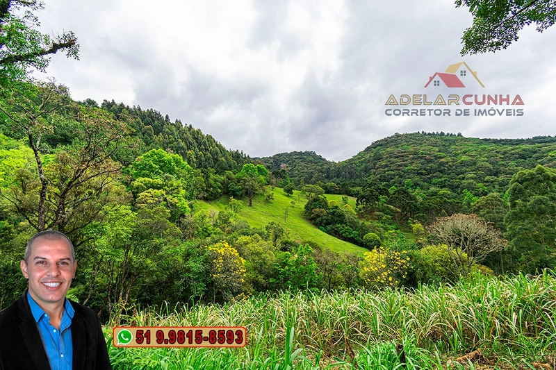 Sítio de 5 Hectares à Venda em São Francisco de Paula – RS: 8ª foto da galeria de imagens do imóvel