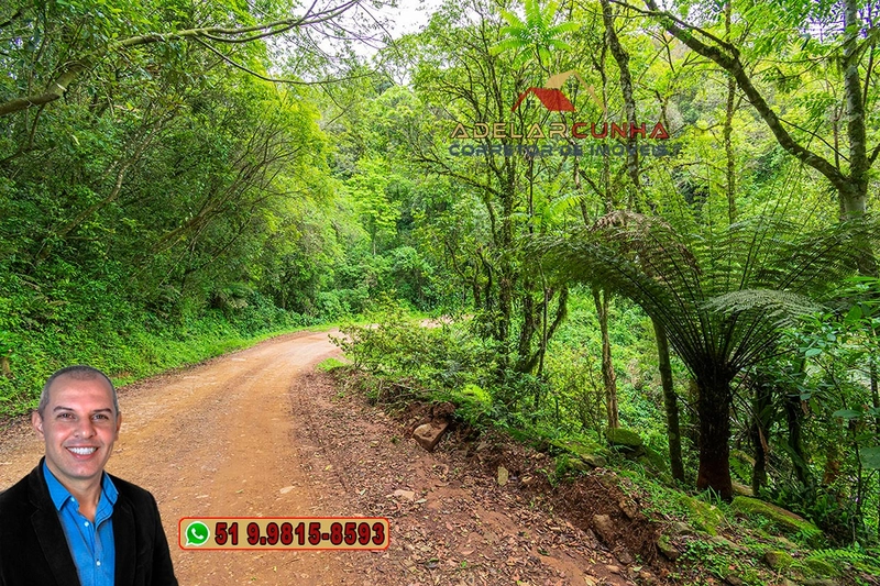 Sítio de 5 Hectares à Venda em São Francisco de Paula – RS: 3ª foto da galeria de imagens do imóvel