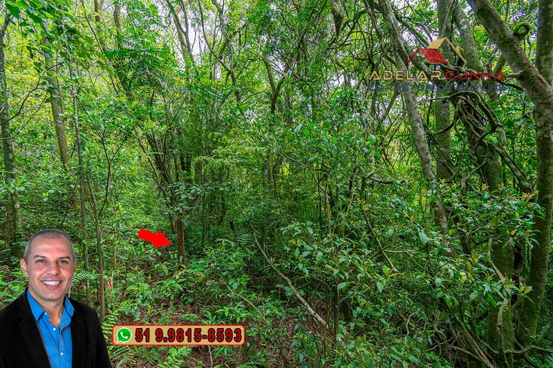 Sítio de 5 Hectares à Venda em São Francisco de Paula – RS: 17ª foto da galeria de imagens do imóvel