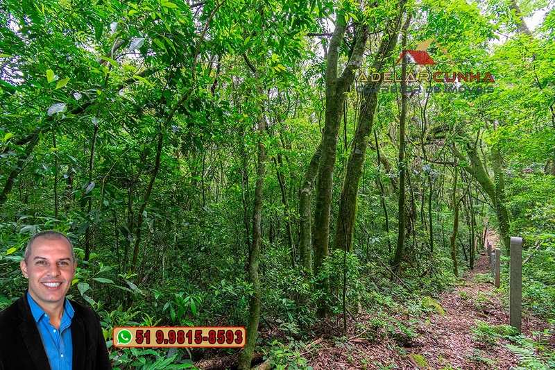 Sítio de 5 Hectares à Venda em São Francisco de Paula – RS: 16ª foto da galeria de imagens do imóvel