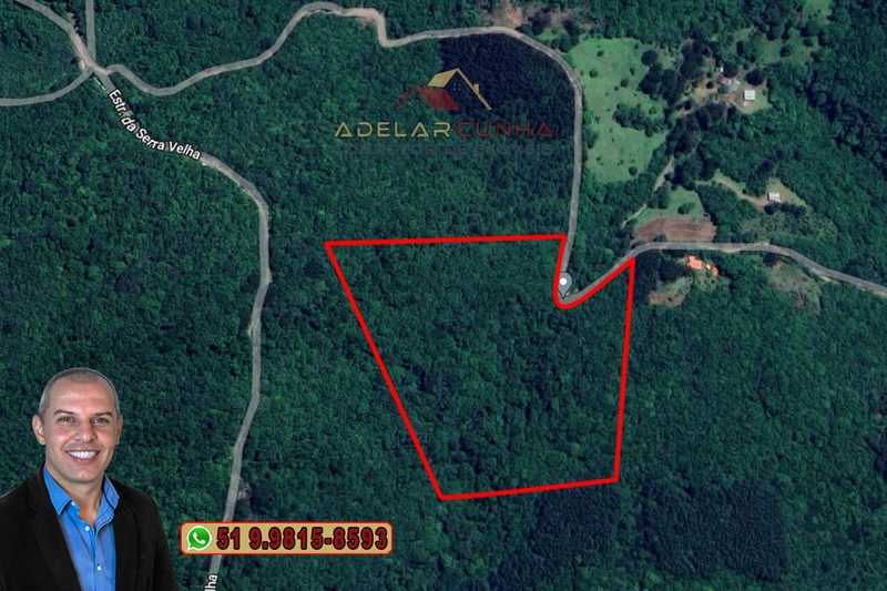Sítio de 5 Hectares à Venda em São Francisco de Paula – RS: 20ª foto da galeria de imagens do imóvel