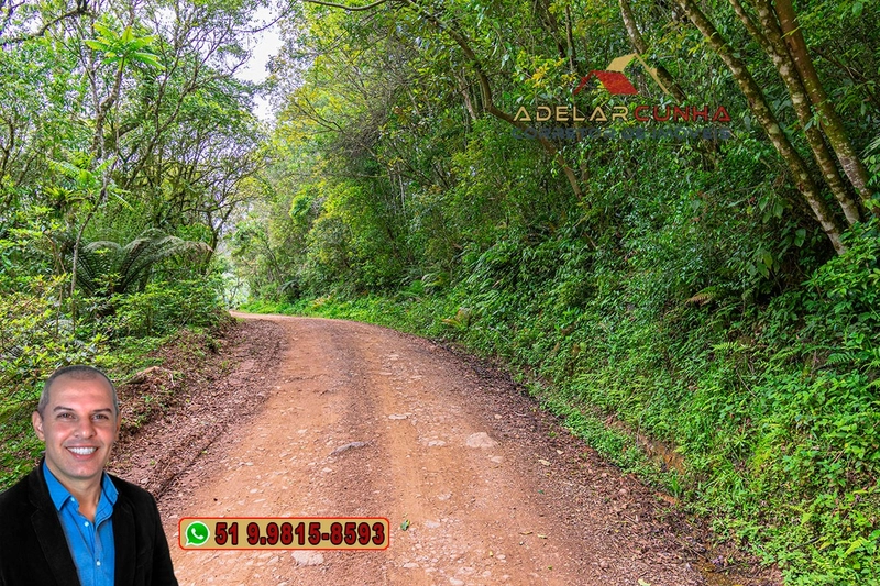 Sítio de 5 Hectares à Venda em São Francisco de Paula – RS: 1ª foto da galeria de imagens do imóvel