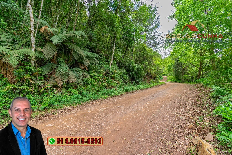 Sítio de 5 Hectares à Venda em São Francisco de Paula – RS: 5ª foto da galeria de imagens do imóvel