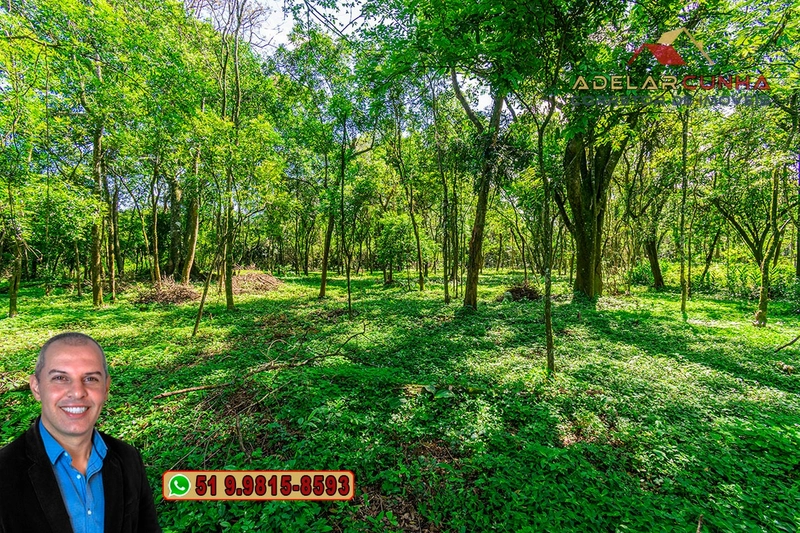 Terreno Comercial de 2.1 hectares à VENDA na RS 115 em Igrejinha - RS: 29ª foto da galeria de imagens do imóvel
