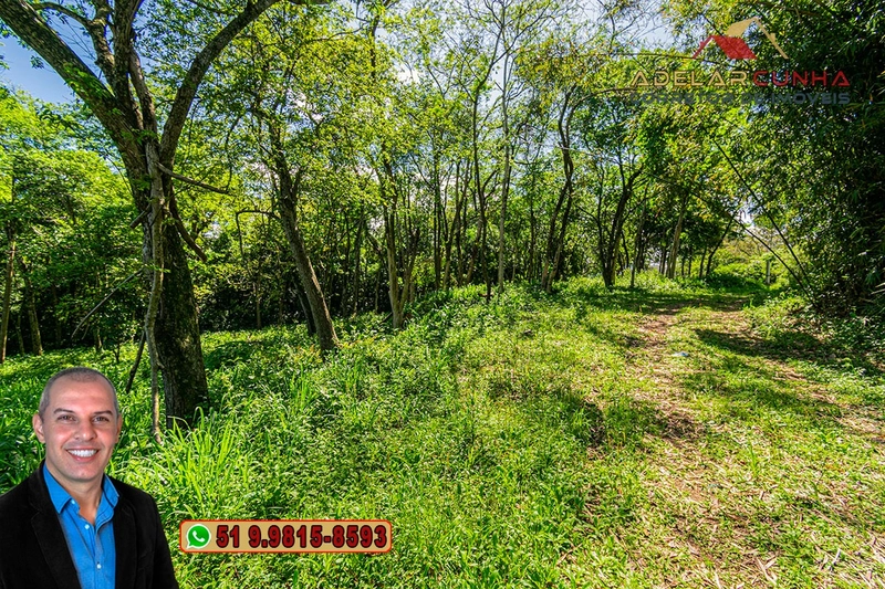 Terreno Comercial de 2.1 hectares à VENDA na RS 115 em Igrejinha - RS: 7ª foto da galeria de imagens do imóvel