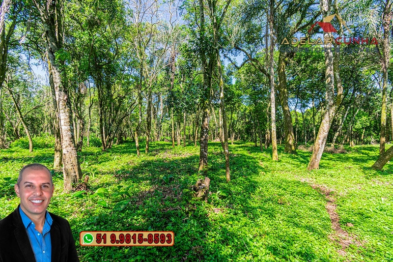 Terreno Comercial de 2.1 hectares à VENDA na RS 115 em Igrejinha - RS: 22ª foto da galeria de imagens do imóvel