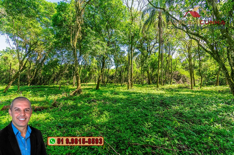 Terreno Comercial de 2.1 hectares à VENDA na RS 115 em Igrejinha - RS: 30ª foto da galeria de imagens do imóvel