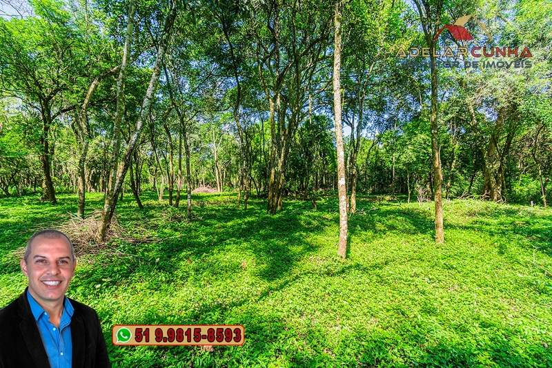 Terreno Comercial de 2.1 hectares à VENDA na RS 115 em Igrejinha - RS: 23ª foto da galeria de imagens do imóvel
