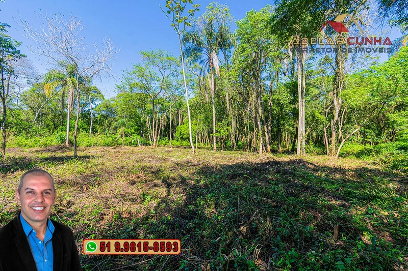Terreno Comercial de 2.1 hectares à VENDA na RS 115 em Igrejinha - RS: 19ª foto da galeria de imagens do imóvel