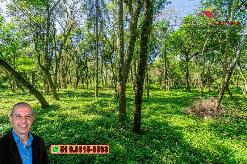 Terreno Comercial de 2.1 hectares à VENDA na RS 115 em Igrejinha - RS: 24ª foto da galeria de imagens do imóvel