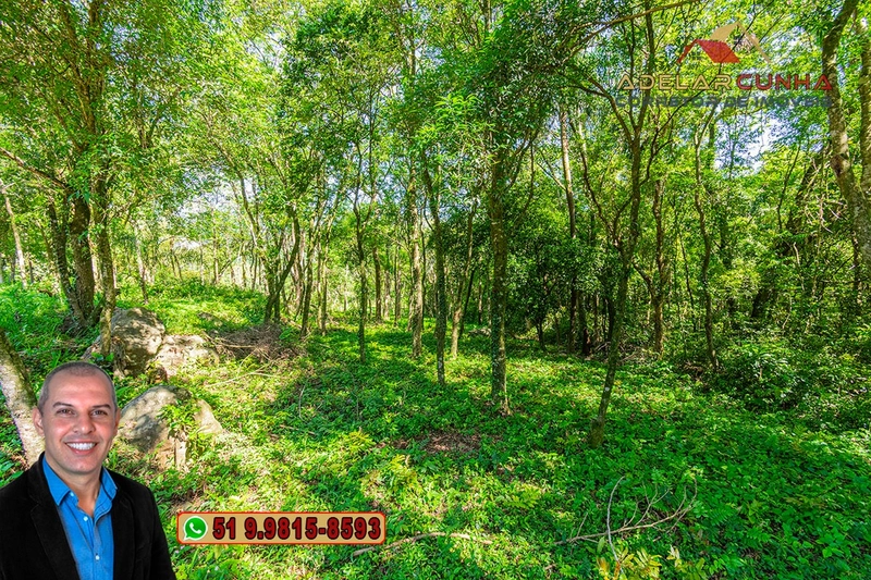 Terreno Comercial de 2.1 hectares à VENDA na RS 115 em Igrejinha - RS: 5ª foto da galeria de imagens do imóvel