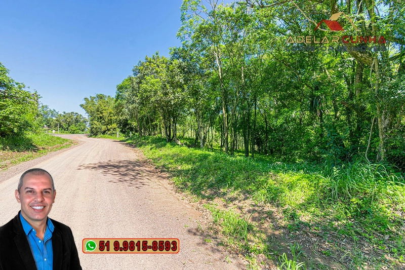 Terreno Comercial de 2.1 hectares à VENDA na RS 115 em Igrejinha - RS: 4ª foto da galeria de imagens do imóvel