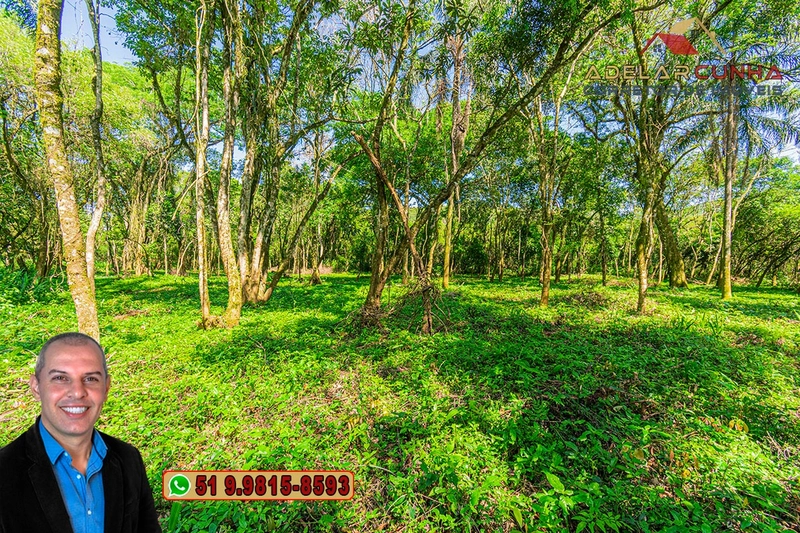 Terreno Comercial de 2.1 hectares à VENDA na RS 115 em Igrejinha - RS: 28ª foto da galeria de imagens do imóvel
