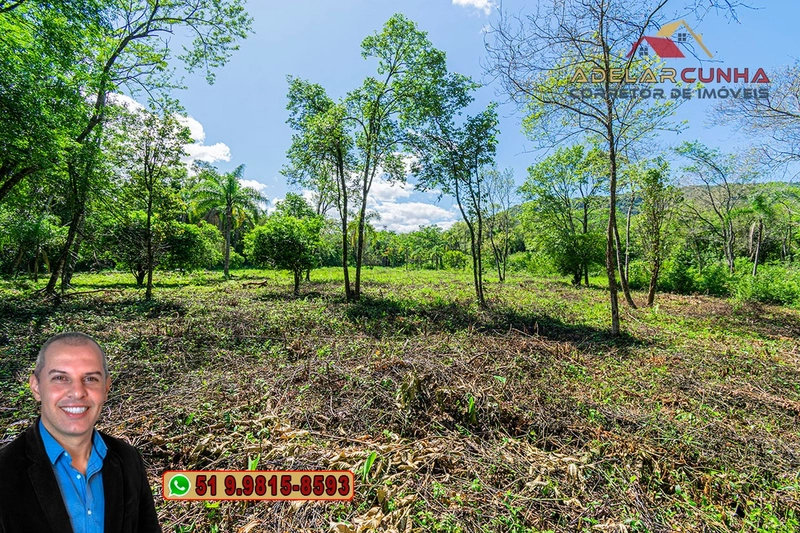 Terreno Comercial de 2.1 hectares à VENDA na RS 115 em Igrejinha - RS: 18ª foto da galeria de imagens do imóvel