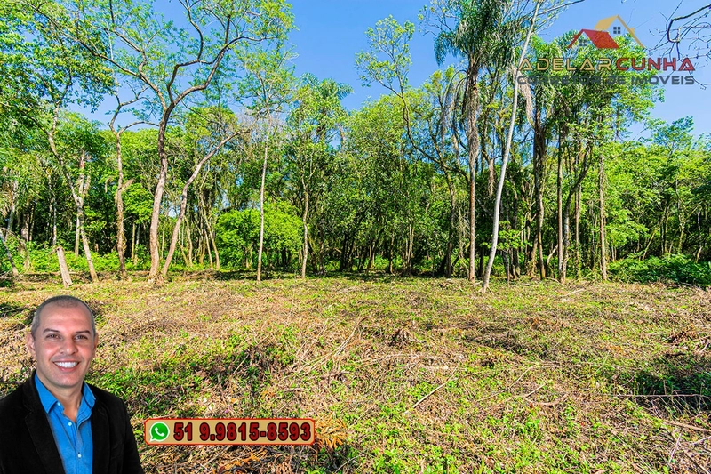 Terreno Comercial de 2.1 hectares à VENDA na RS 115 em Igrejinha - RS: 20ª foto da galeria de imagens do imóvel
