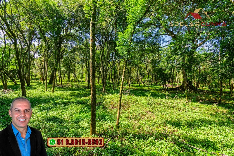 Terreno Comercial de 2.1 hectares à VENDA na RS 115 em Igrejinha - RS: 25ª foto da galeria de imagens do imóvel