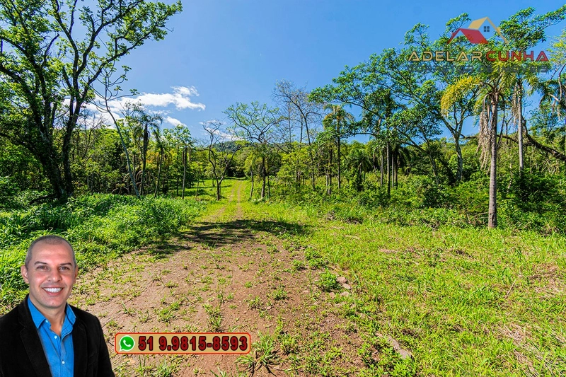 Terreno Comercial de 2.1 hectares à VENDA na RS 115 em Igrejinha - RS: 12ª foto da galeria de imagens do imóvel