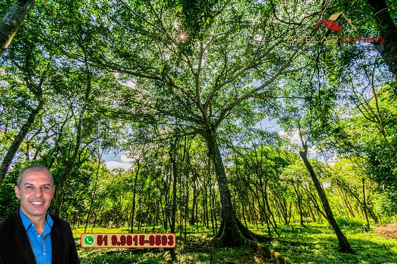 Terreno Comercial de 2.1 hectares à VENDA na RS 115 em Igrejinha - RS: 27ª foto da galeria de imagens do imóvel