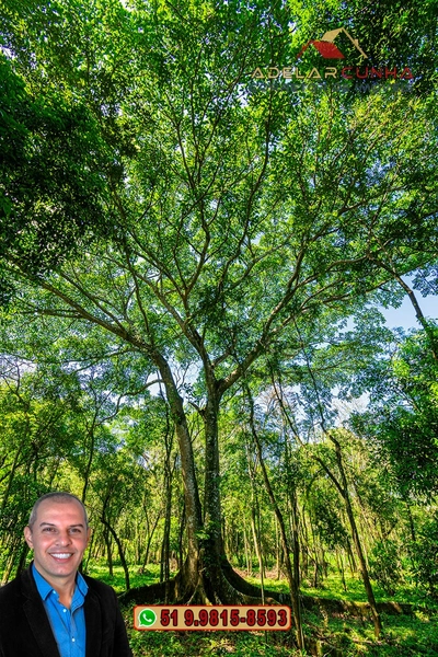 Terreno Comercial de 2.1 hectares à VENDA na RS 115 em Igrejinha - RS: 26ª foto da galeria de imagens do imóvel