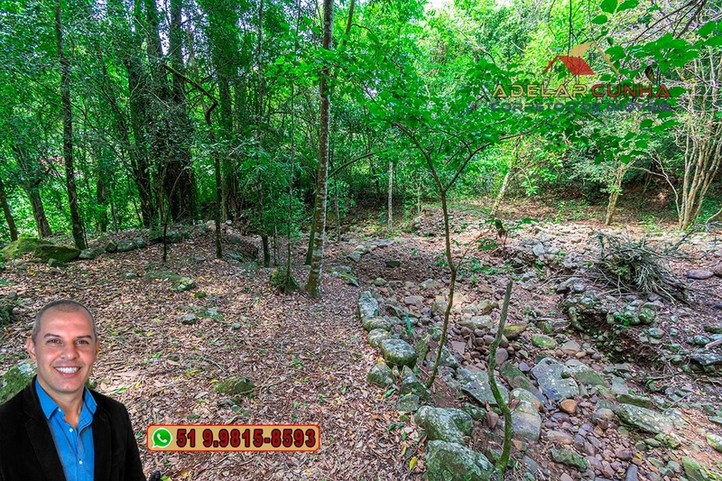 Sítio de 12 hectares à VENDA em Três Coroas-RS: 23ª foto da galeria de imagens do imóvel